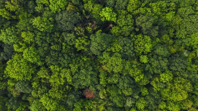 Firmaların global platformlara giriş yapmasına, stratejik eylem planlarının oluşturulması ve kurumsal sürdürülebilirlik raporlarının oluşturulmasına destek sağlıyoruz.